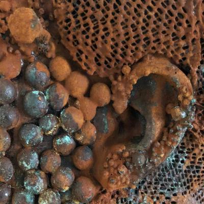 Carre detail cortex